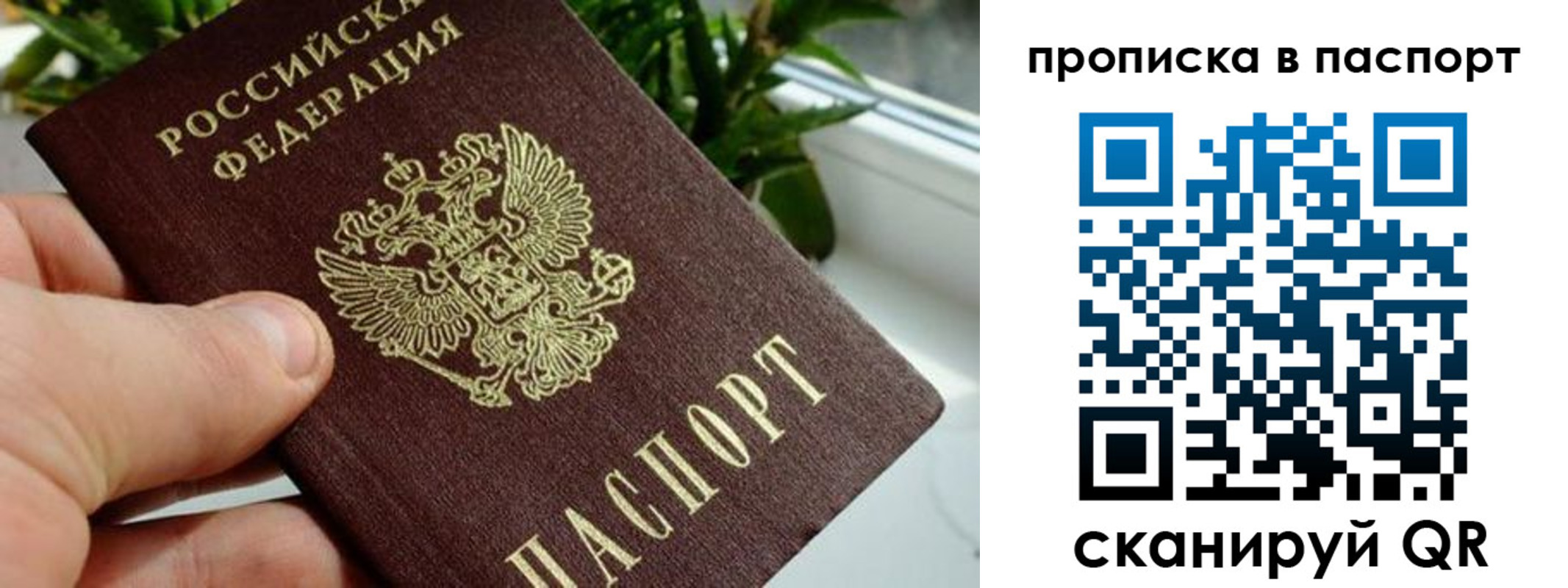 пропишу в квартире в Сорочинске